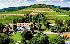 Castle Hotel Grof Degenfeld Superior