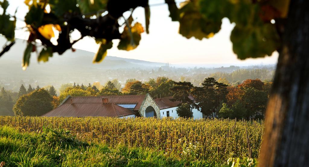 Castle Hotel Grof Degenfeld Superior Tarcal Zewnętrze zdjęcie